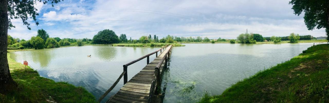 Domaine Du Vieux Chene Villa Bergerac Kültér fotó